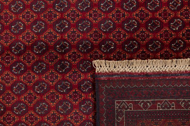 Afghan Mauri - 6