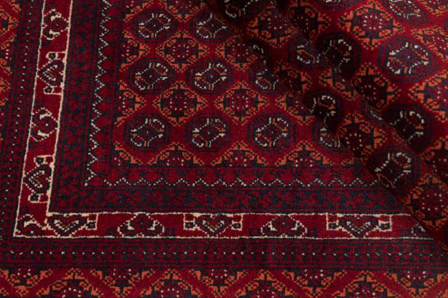 Afghan Mauri - 8