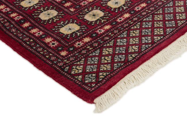 Pakistan Buchara 2ply - 3