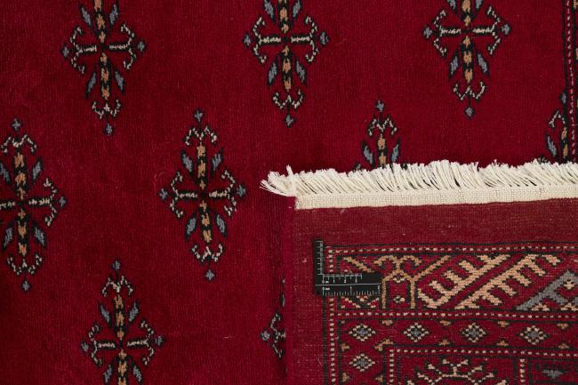 Pakistan Buchara 3ply - 1