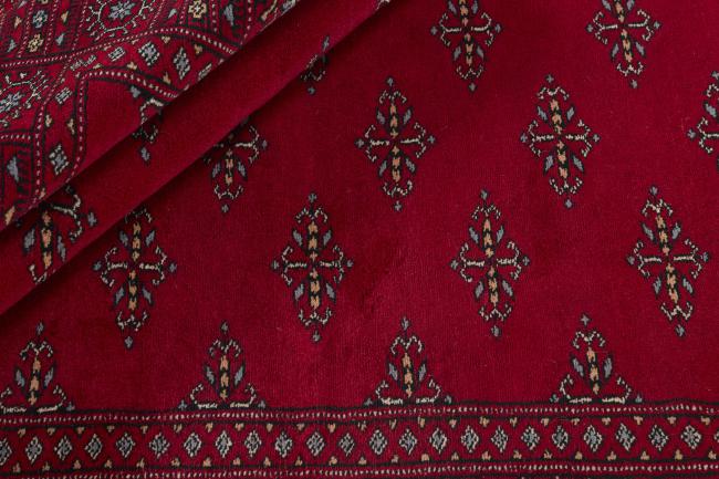 Pakistan Buchara 3ply - 2