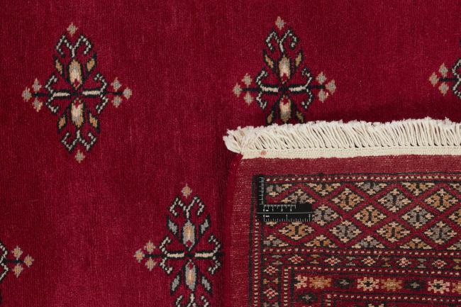 Pakistan Buchara 2ply - 1