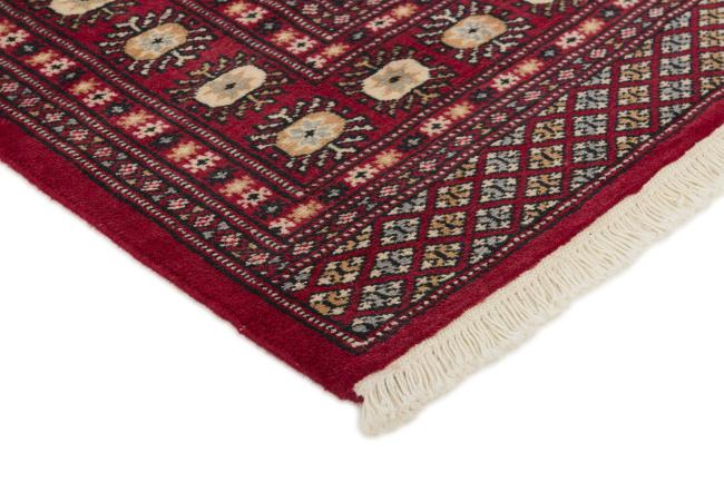 Pakistan Buchara 2ply - 3
