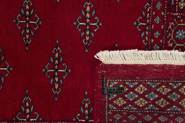 Pakistan Buchara 3ply - 1