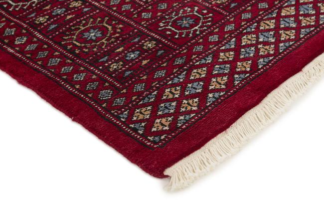 Pakistan Buchara 3ply - 3