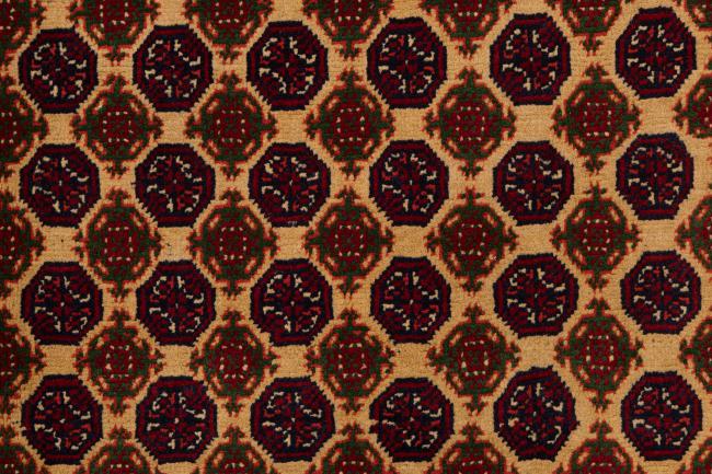 Afghan Mauri - 7