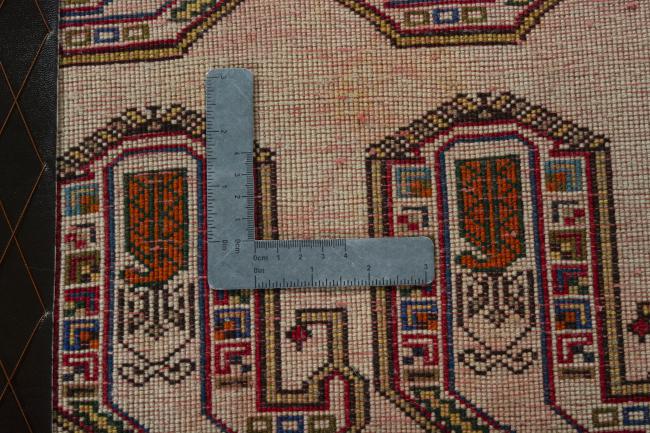 Shiraz - 4
