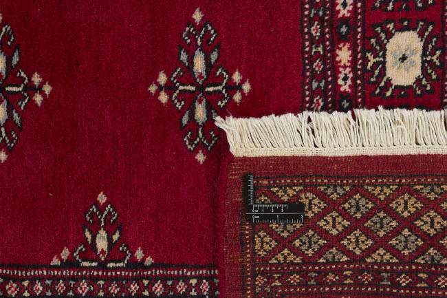 Pakistan Buchara 2ply - 1