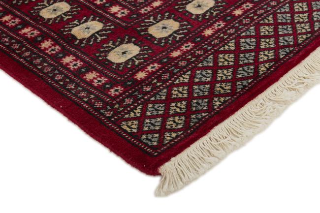 Pakistan Buchara 2ply - 3
