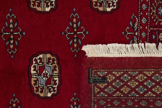 Pakistan Buchara 3ply - 1