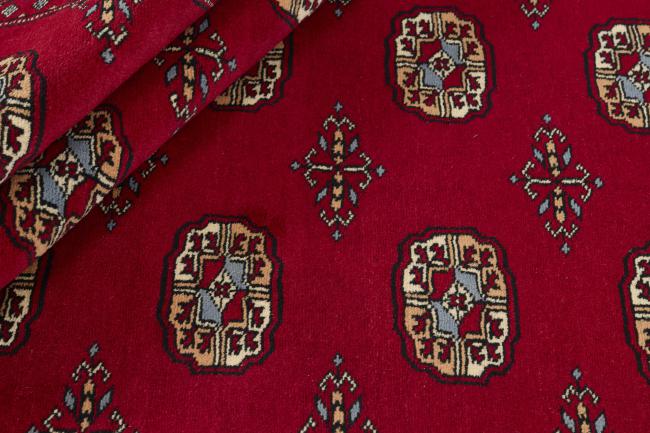 Pakistan Buchara 3ply - 2