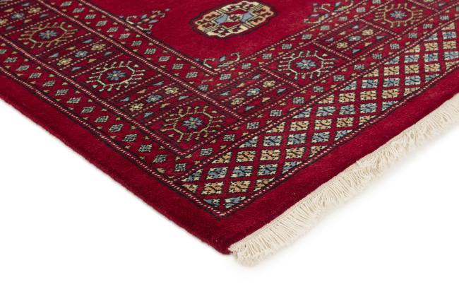 Pakistan Buchara 3ply - 3