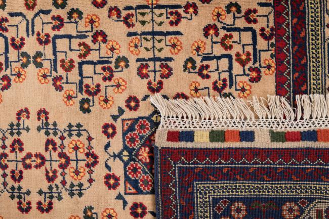 Afghan Mauri - 6