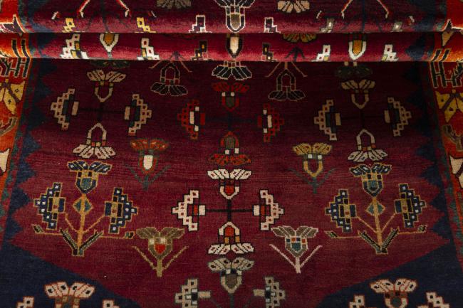Shiraz - 7