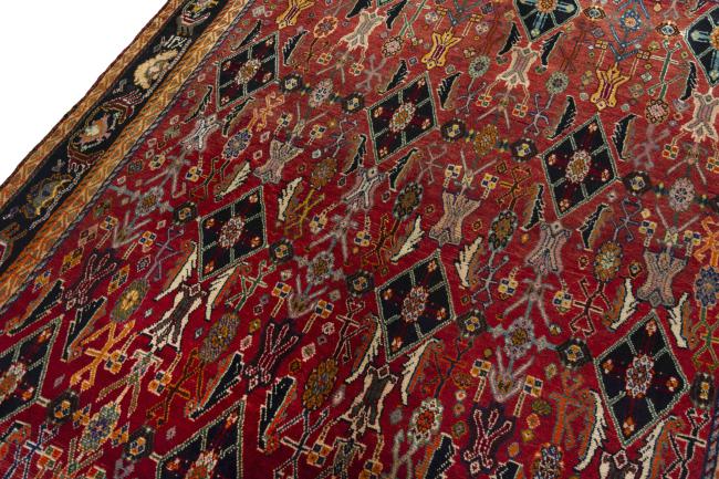 Shiraz - 4