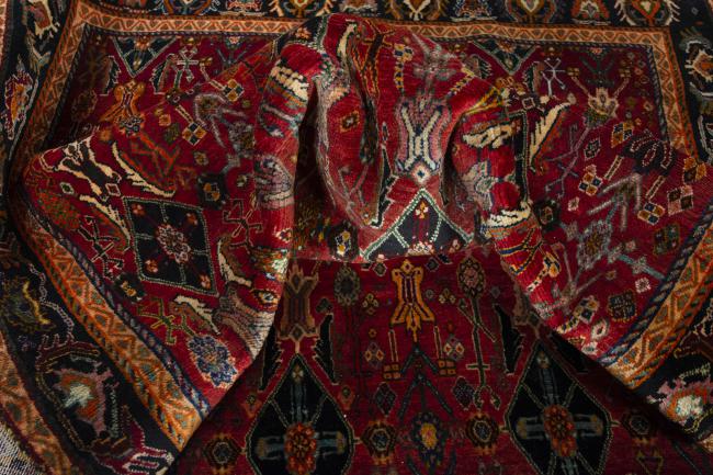 Shiraz - 8