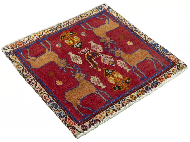 Shiraz - 2