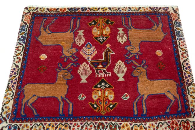 Shiraz - 3