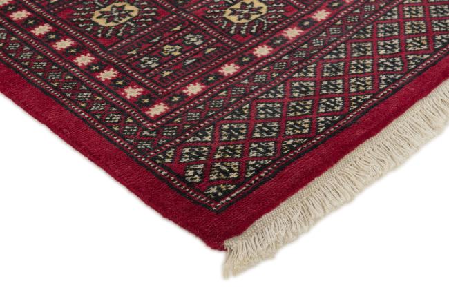 Pakistan Buchara 2ply - 3
