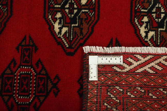 Turkaman - 1