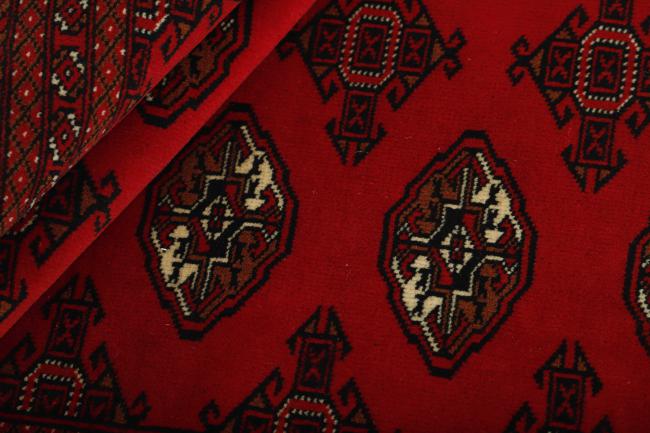 Turkaman - 2