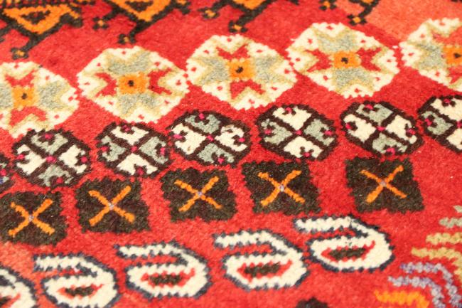 Shiraz - 8