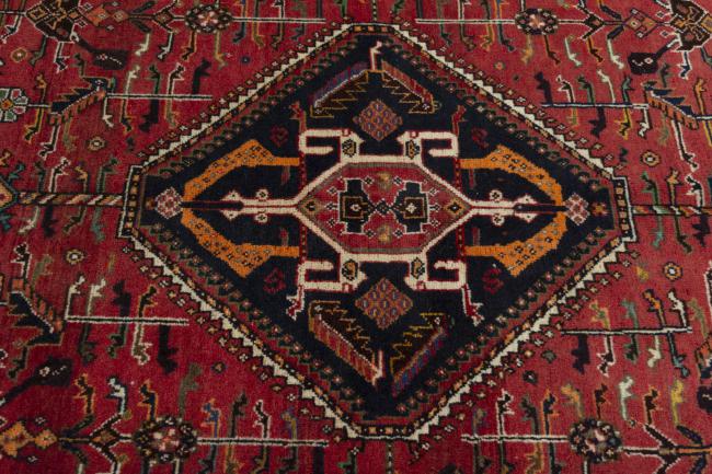 Shiraz - 5