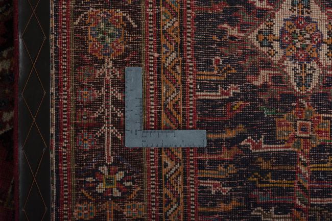Shiraz - 10