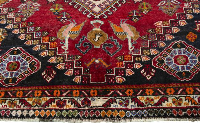 Shiraz - 5