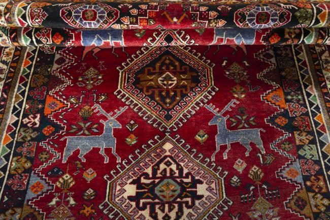 Shiraz - 7