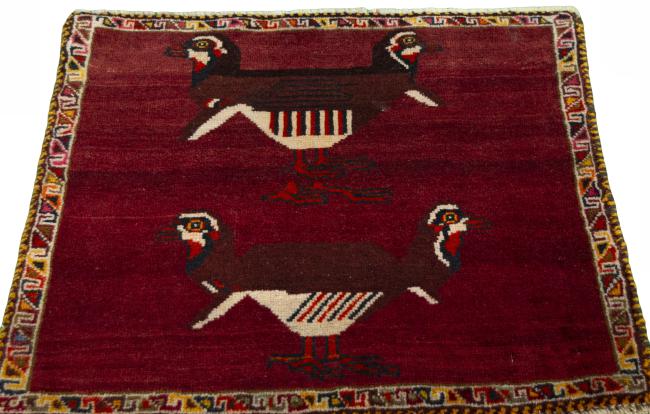Shiraz - 3