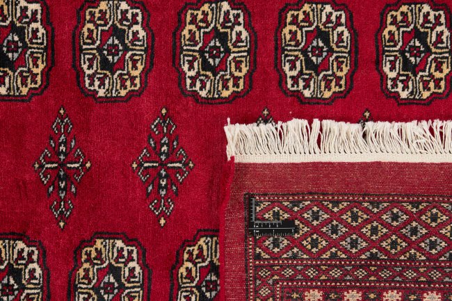 Pakistan Buchara 2ply - 1