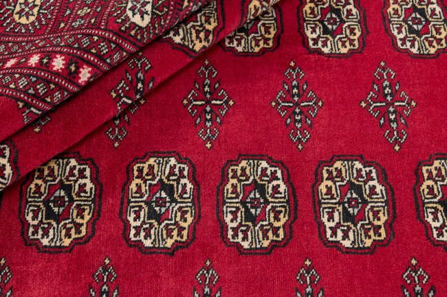 Pakistan Buchara 2ply - 2