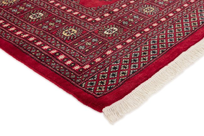 Pakistan Buchara 2ply - 3