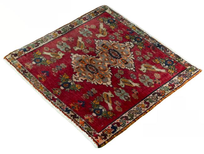 Shiraz - 1