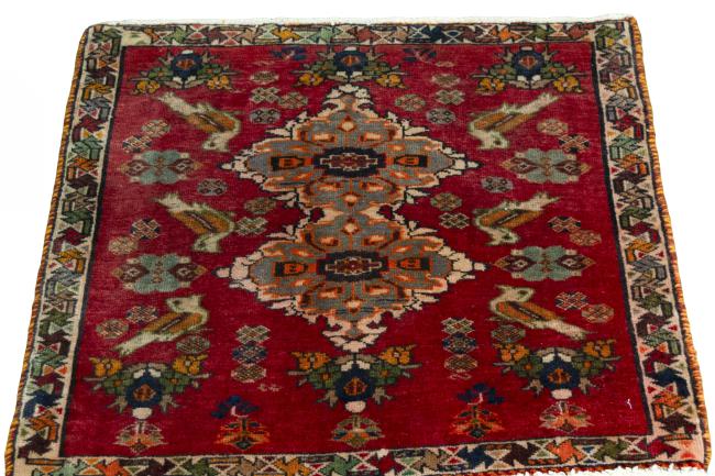 Shiraz - 3