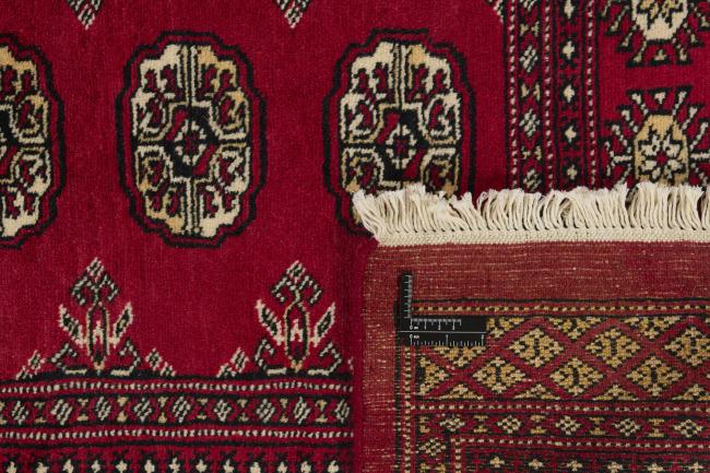 Pakistan Buchara 2ply - 1