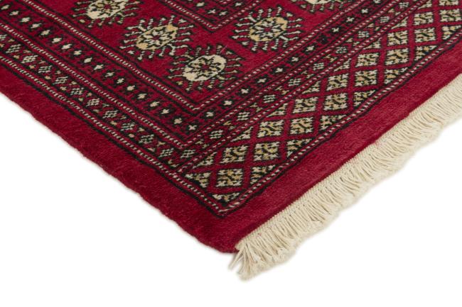 Pakistan Buchara 2ply - 3