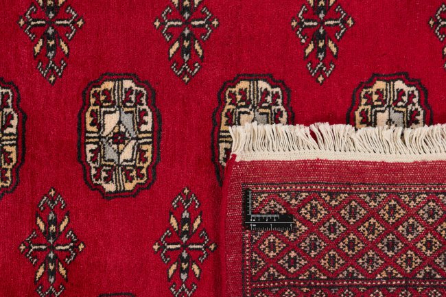 Pakistan Buchara 2ply - 1