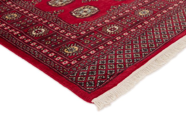 Pakistan Buchara 2ply - 3