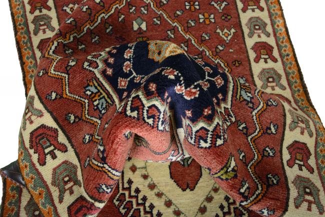 Shiraz - 9