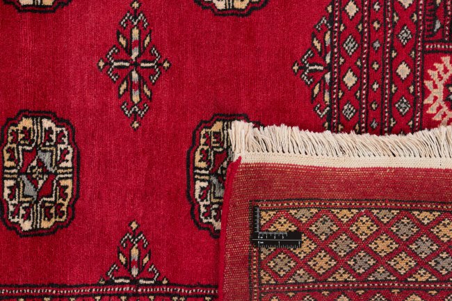 Pakistański Buchara 2ply - 1