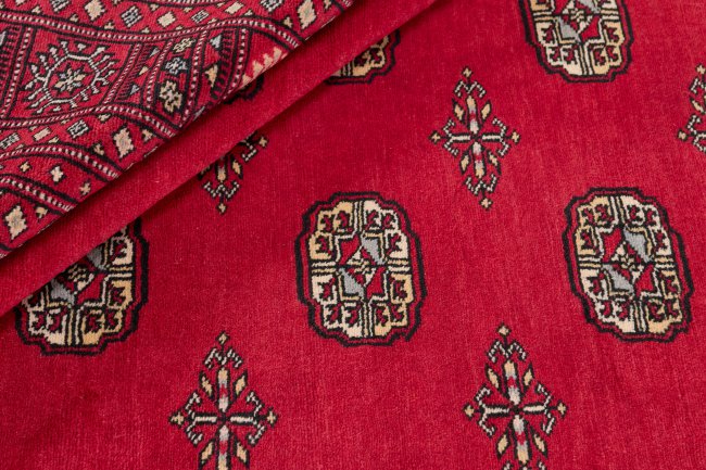 Pakistański Buchara 2ply - 2