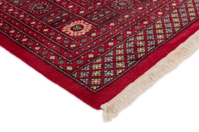 Pakistański Buchara 2ply - 3