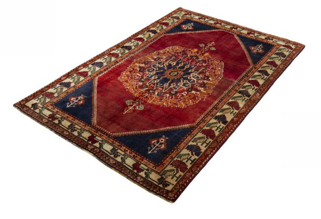 Shiraz - 1