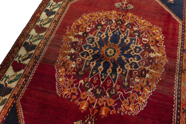 Shiraz - 4