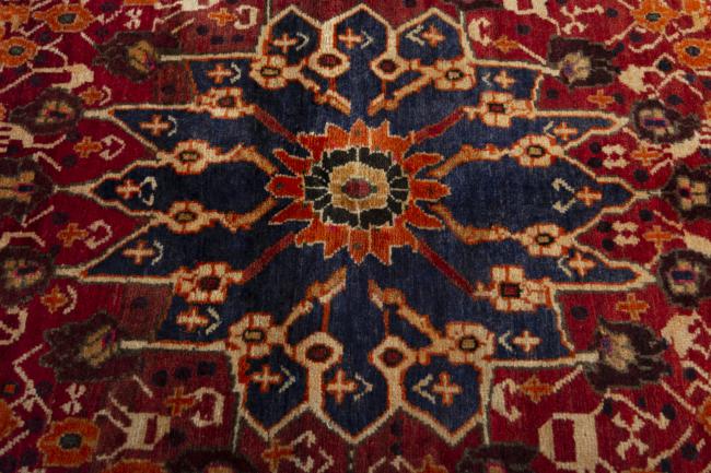 Shiraz - 5