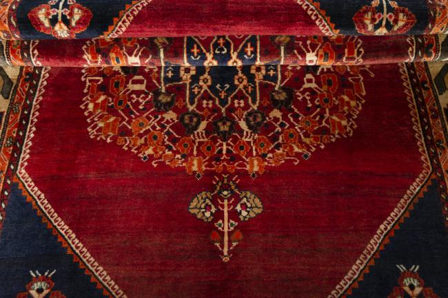 Shiraz - 8