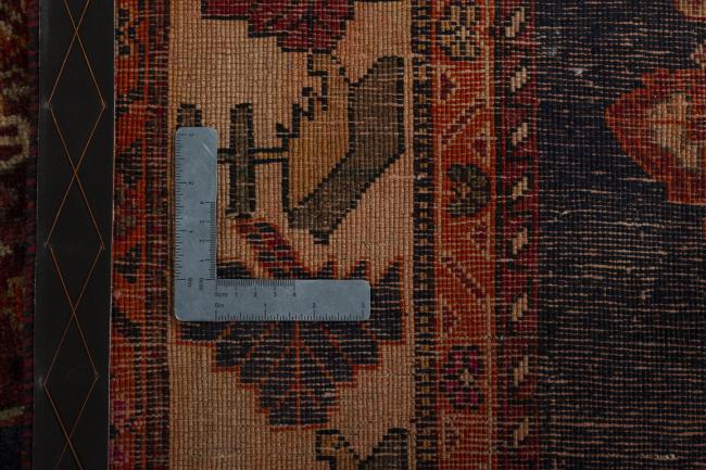 Shiraz - 10