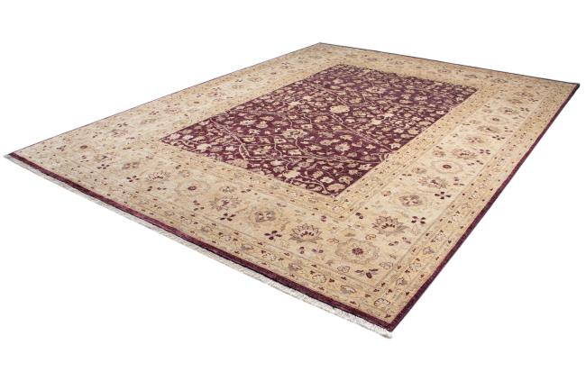 Ziegler Farahan - 2